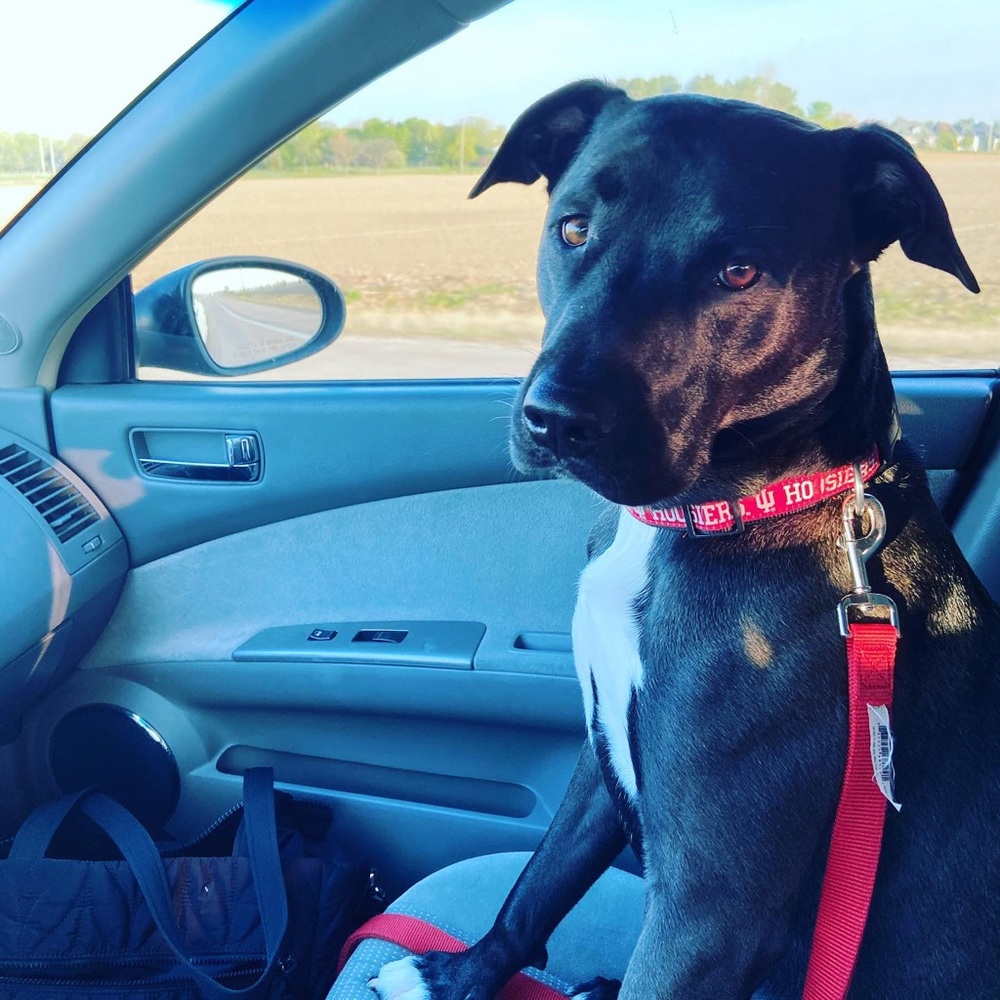 Meet your Posher, Jessica